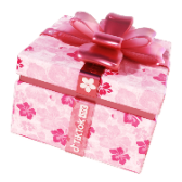 Sakura w pełni rozkwitu