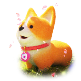 Sakura Corgi
