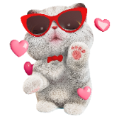 Kitten Kneading