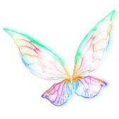 Colorful Wings