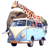 Safari Park