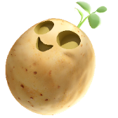 Transformacja ziemniaczana