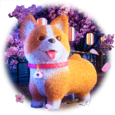Corgi and Night Cherry