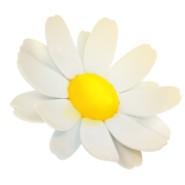 It's Midsummer