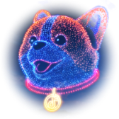 Corgi's Drone Show