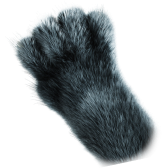 Panther Paws