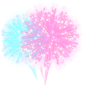 Fireworks show