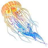 Glowing Jellyfish